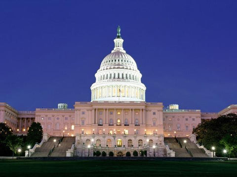 ONE DAY TOUR – A day in Washington (includes the entrance to the Arlington Cemetery)
